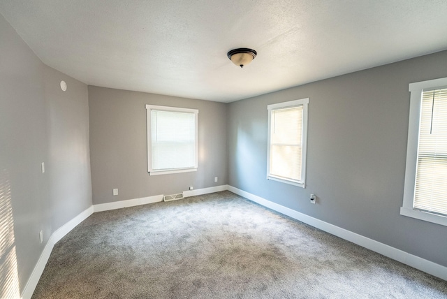 unfurnished room with carpet floors, a textured ceiling, and a wealth of natural light