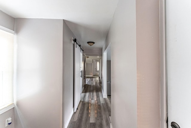 corridor with dark hardwood / wood-style floors, a barn door, and a healthy amount of sunlight