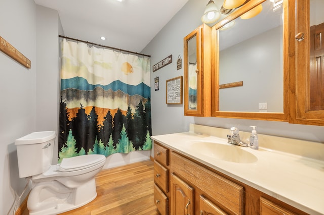 bathroom featuring toilet, vanity, and hardwood / wood-style flooring