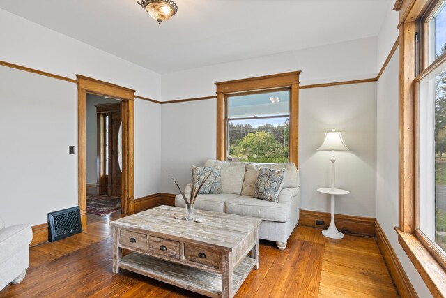 5721 Broomhead Rd, Williamsburg, MI 49690 - living room with wood-type flooring and baseboards