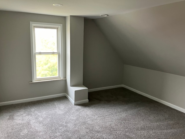 additional living space featuring carpet flooring and lofted ceiling