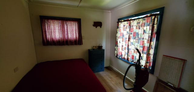 bedroom featuring light wood-type flooring