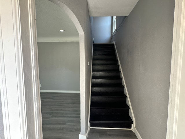 stairway with wood-type flooring