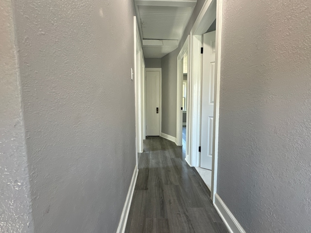 hallway featuring dark wood-type flooring