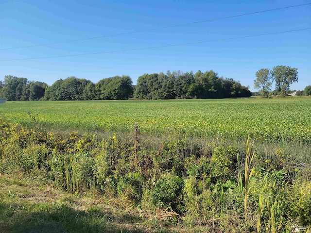 01 Summerfield Rd, Petersburg MI, 49270 land for sale