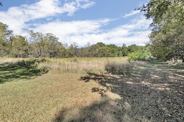 10526 Spring Arbor Rd, Spring Arbor, MI 49283 - view of woods