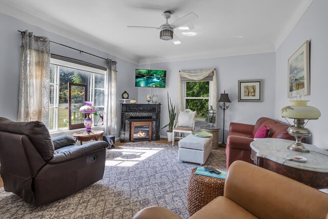 10526 Spring Arbor Rd, Spring Arbor, MI 49283 - living area with ceiling fan and a glass covered fireplace