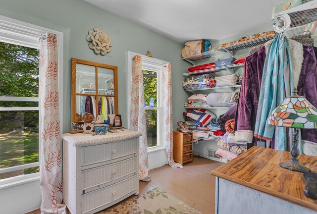 10526 Spring Arbor Rd, Spring Arbor, MI 49283 - walk in closet with light wood-type flooring