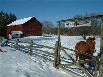 view of horse barn