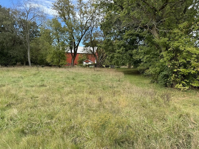 5295 Belding Rd NE, Rockford, MI 49341 - view of yard