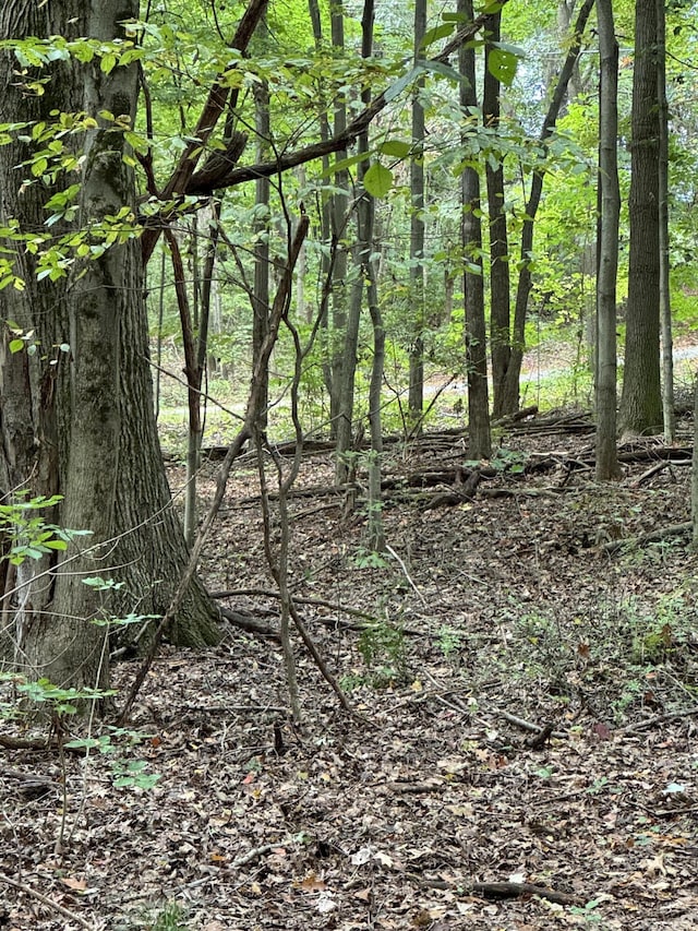 5295 Belding Rd NE, Rockford, MI 49341 - view of undeveloped land