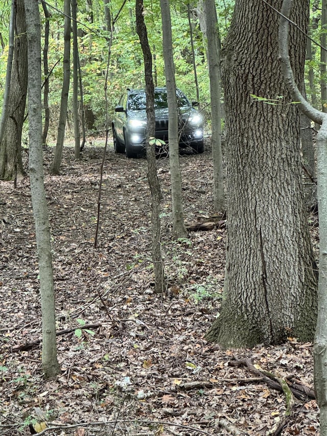 5295 Belding Rd NE, Rockford, MI 49341 - view of local wilderness