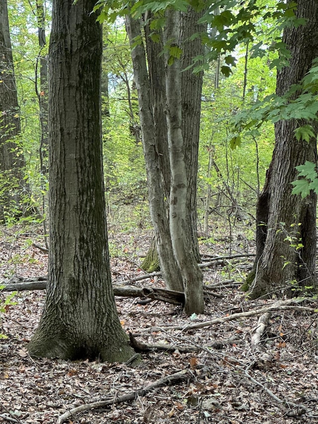 5295 Belding Rd NE, Rockford, MI 49341 - view of wooded area