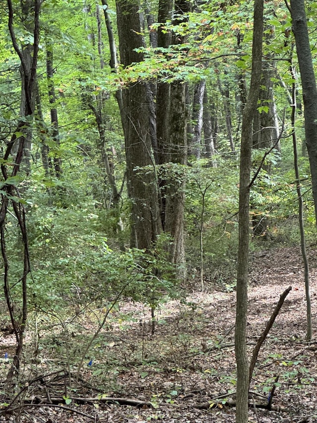 5295 Belding Rd NE, Rockford, MI 49341 - view of wooded area