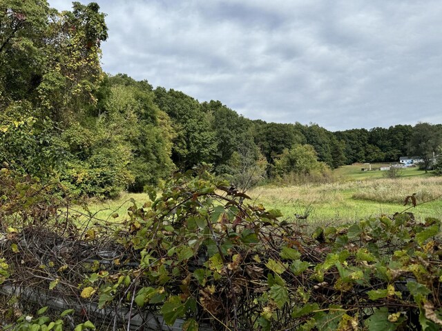5295 Belding Rd NE, Rockford, MI 49341 - view of wooded area