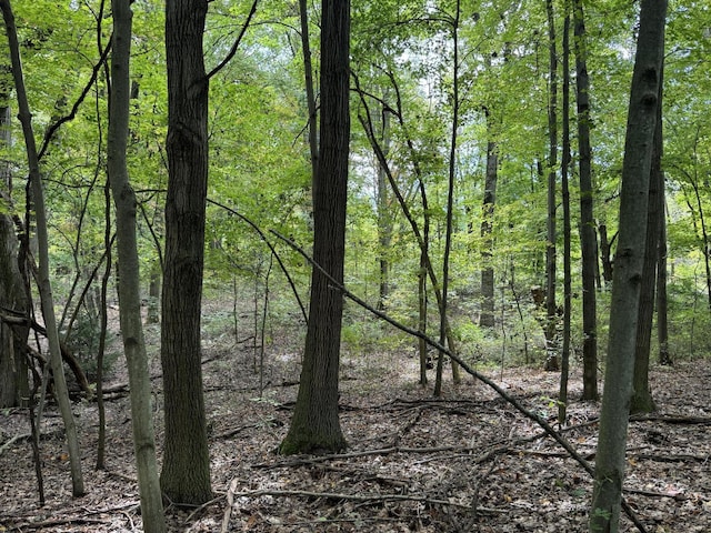 5295 Belding Rd NE, Rockford, MI 49341 - view of tree filled area