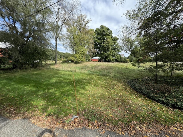 5295 Belding Rd NE, Rockford, MI 49341 - view of green lawn