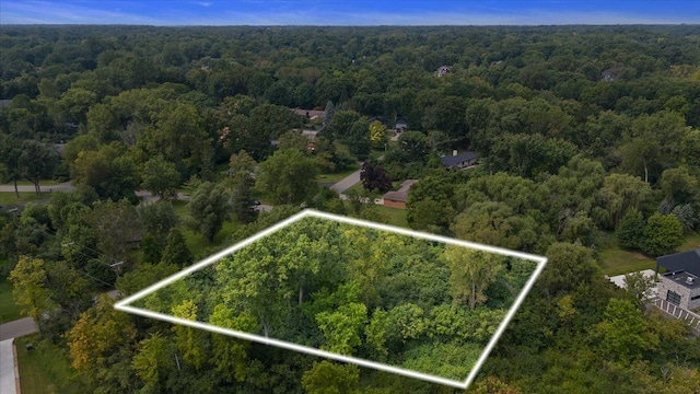 000B Birchway, Franklin, MI 48025 - aerial view of property's location with a heavily wooded area and property parcel outlined