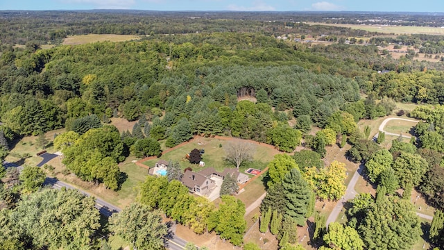 20616 Madison Ave, Big Rapids, MI 49307 - aerial overview of property's location featuring a heavily wooded area