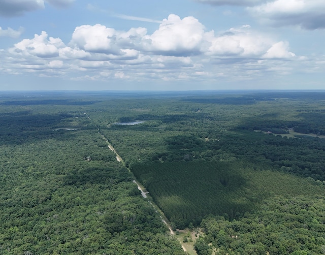 3376 Swihart Rd, Brethren, MI 49619 - bird's eye view of a forest
