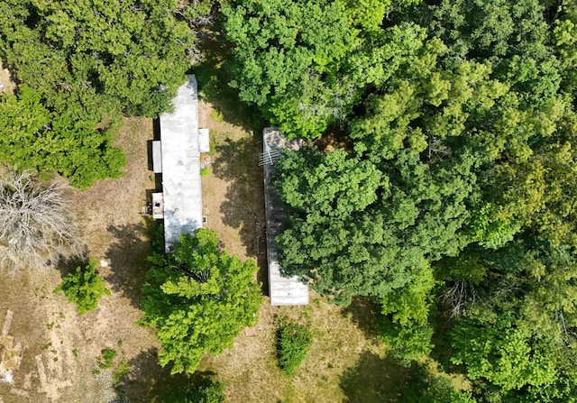 3376 Swihart Rd, Brethren, MI 49619 - aerial view