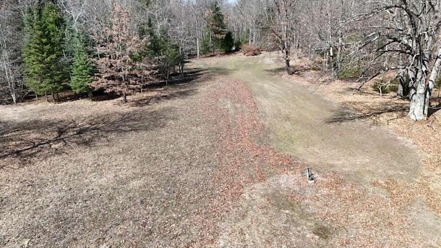 3376 Swihart Rd, Brethren, MI 49619 - view of road