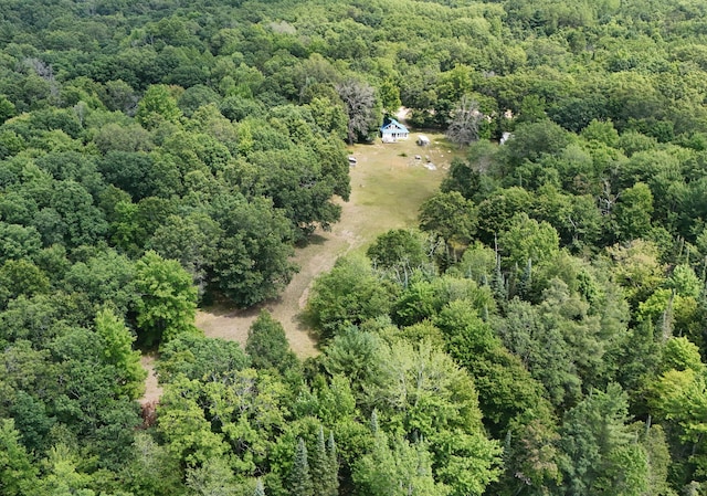 3376 Swihart Rd, Brethren, MI 49619 - view of property location featuring a forest
