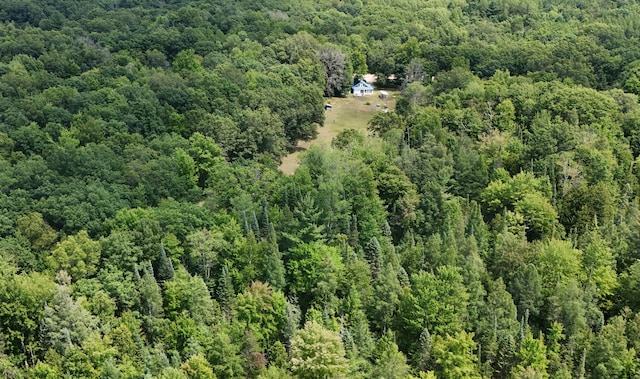 3376 Swihart Rd, Brethren, MI 49619 - drone / aerial view of a forest