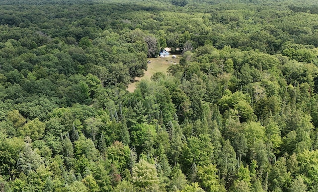 3376 Swihart Rd, Brethren, MI 49619 - bird's eye view of a heavily wooded area