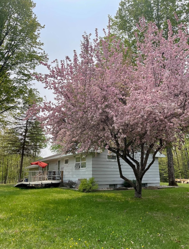 back of house featuring a lawn and a deck