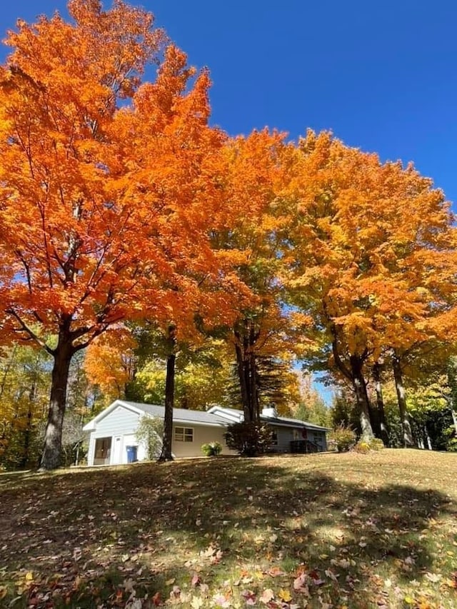 view of home's exterior with a yard