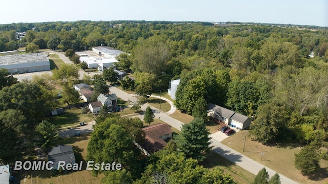 bird's eye view