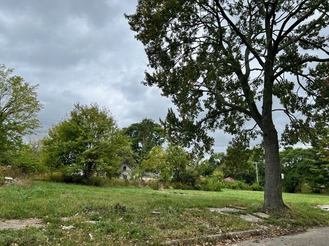 13832 Pinewood St, Detroit, MI 48205 - view of yard