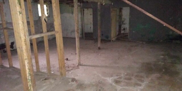 13832 Pinewood St, Detroit, MI 48205 - view of unfinished below grade area