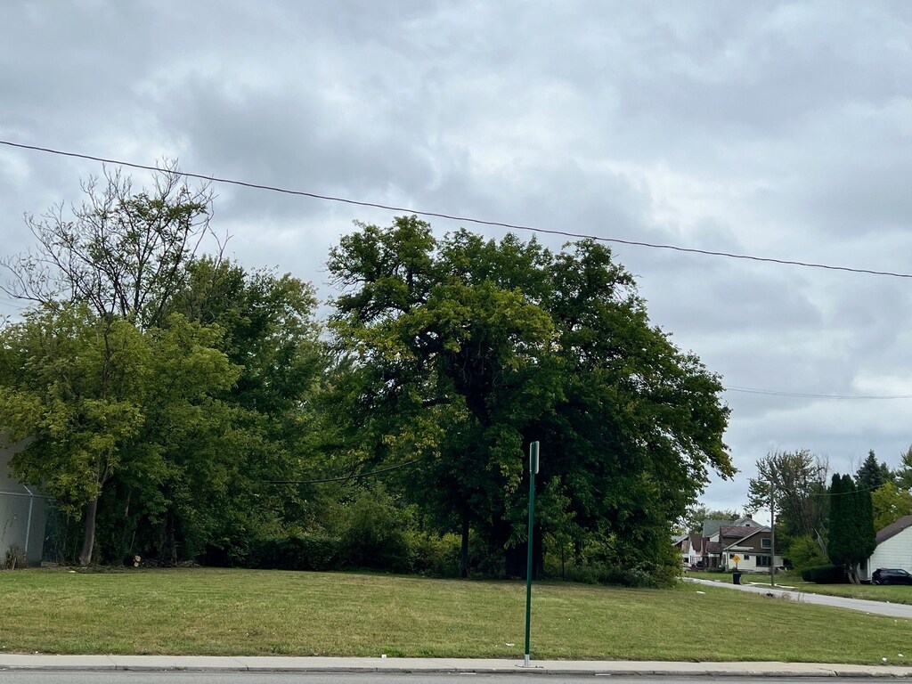 12947 E Mcnichols Rd, Detroit, MI 48205