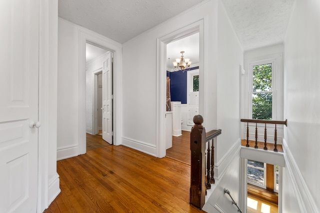 hallway featuring a chandelier, a textured ceiling, and hardwood / wood-style flooring