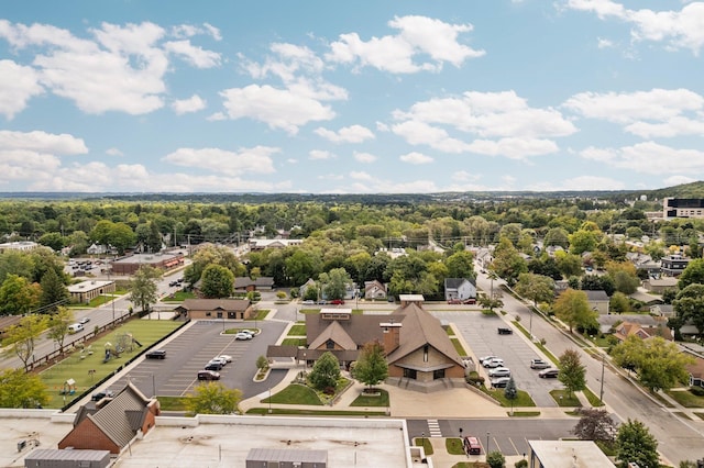 bird's eye view