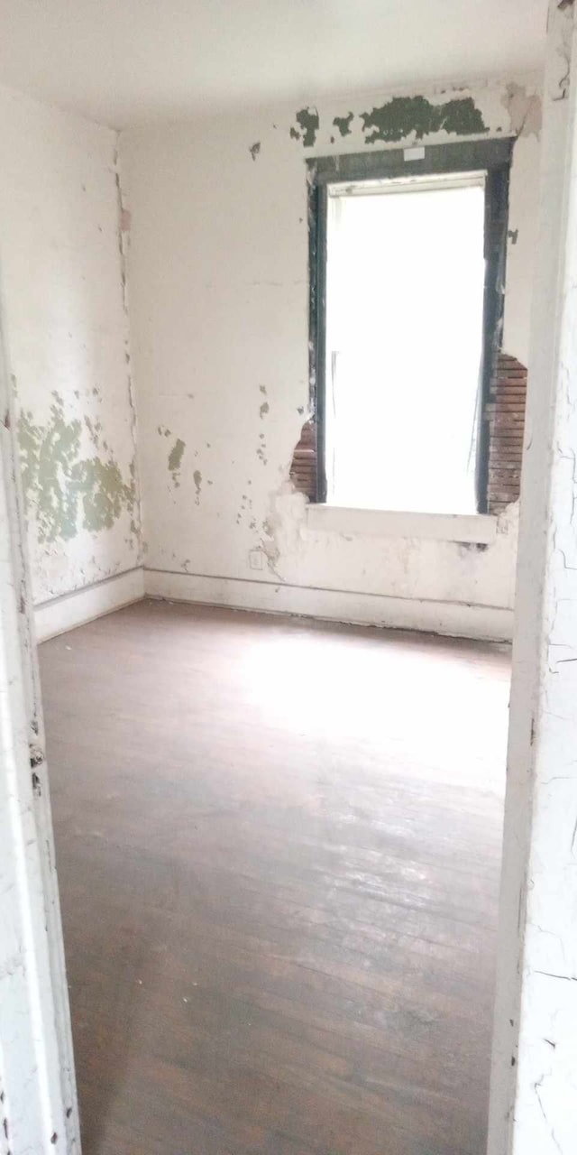 empty room featuring hardwood / wood-style flooring