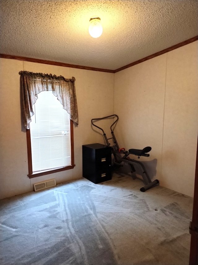 interior space featuring crown molding, carpet floors, and a textured ceiling