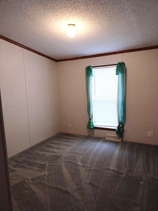 spare room featuring carpet flooring, a textured ceiling, and ornamental molding