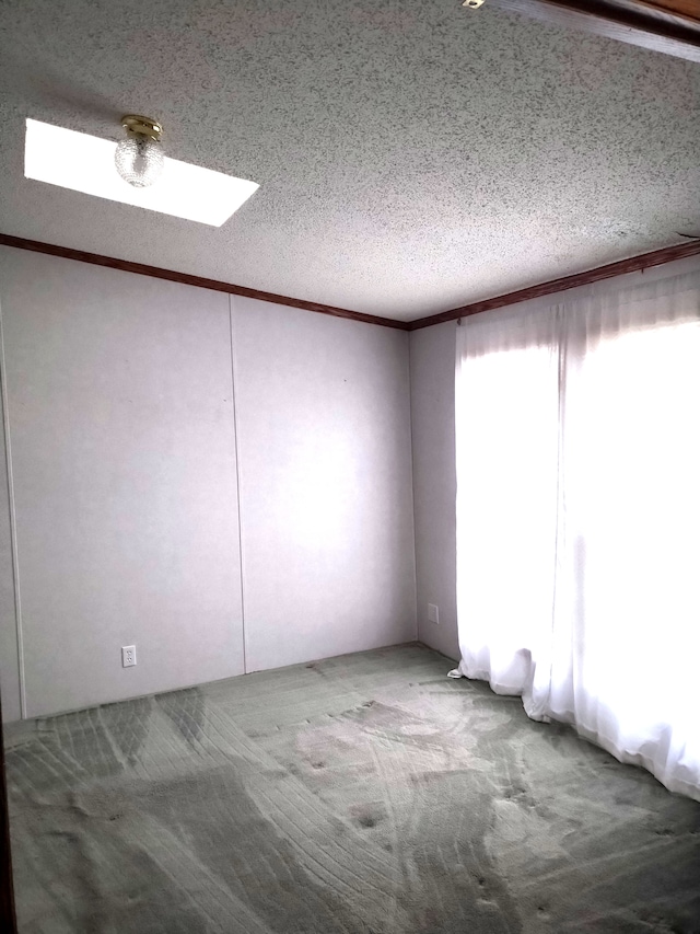 empty room with crown molding, carpet, and a textured ceiling