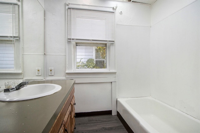 bathroom featuring wood-type flooring and vanity