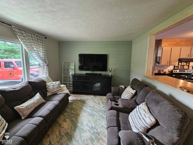 living room featuring carpet floors and a textured ceiling