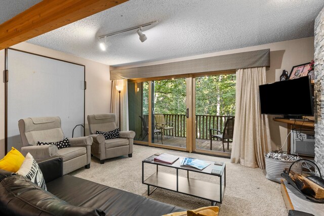 5830 Shanty Creek Rd, Bellaire, MI 49615 - carpeted living area with a textured ceiling, track lighting, and a wall unit AC