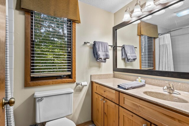 5830 Shanty Creek Rd, Bellaire, MI 49615 - full bathroom featuring vanity, a textured ceiling, toilet, and a shower with shower curtain