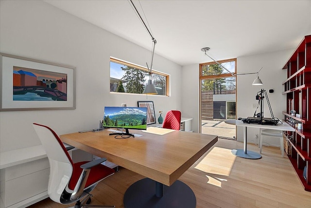 office featuring wood finished floors