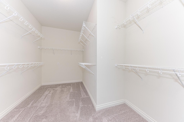 walk in closet featuring carpet