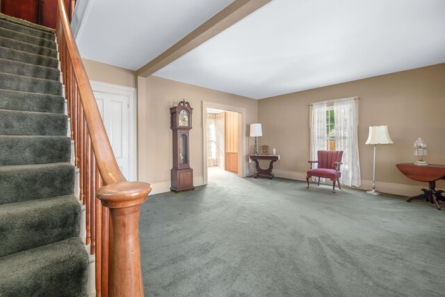 89 E Chicago St, Quincy, MI 49082 - living area with baseboards, carpet floors, and stairs