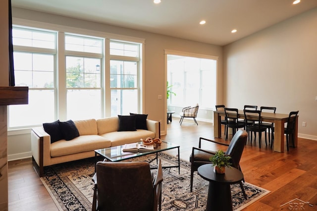 living room with hardwood / wood-style floors