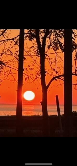 nature at dusk with a water view